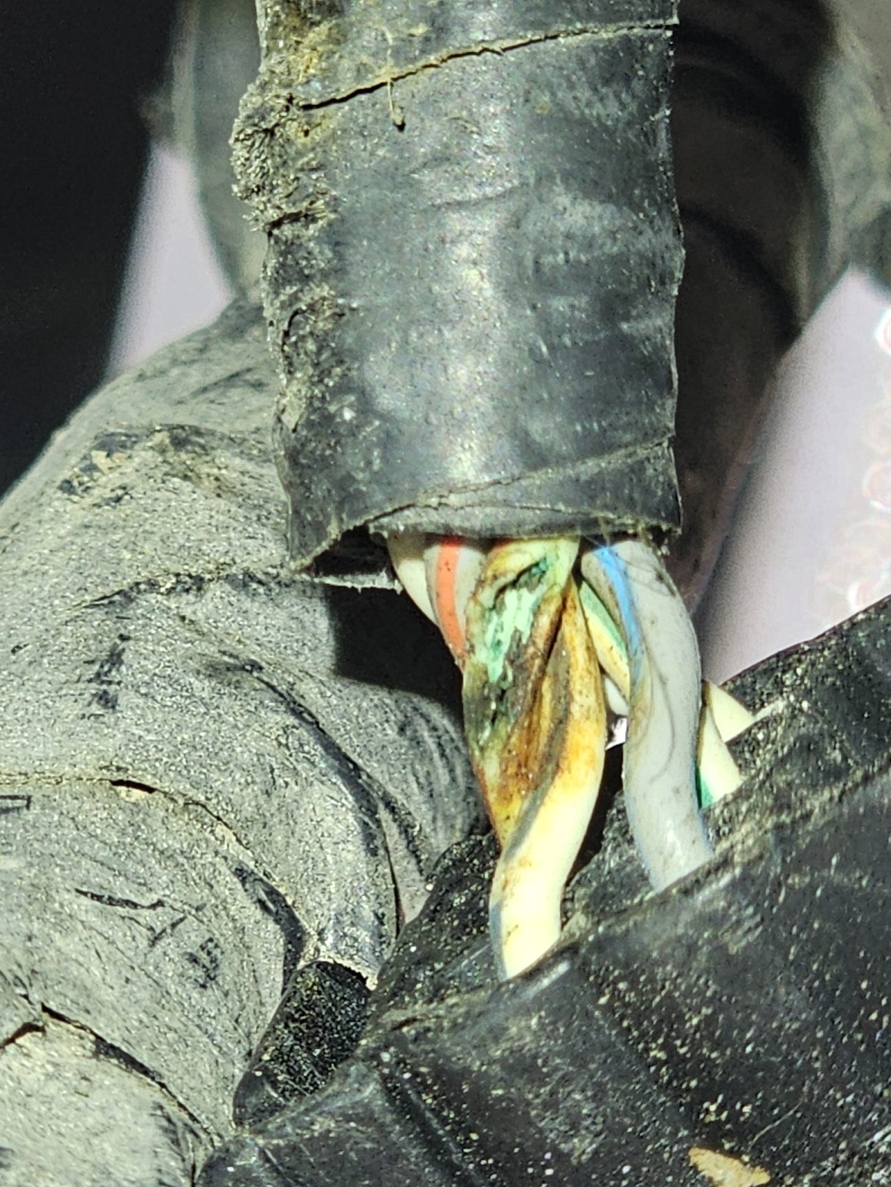 Corroded automotive wiring harness with exposed frayed conductors during electrical fault diagnosis
